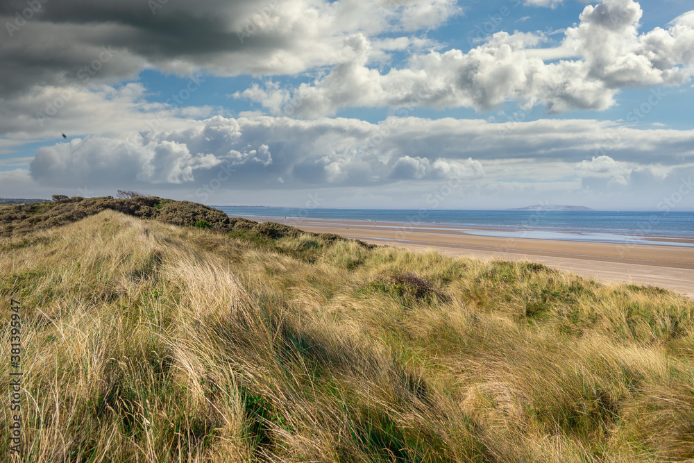 sand dunes and grass on beach