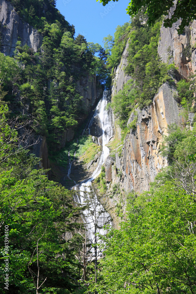 Fototapeta premium 銀河の滝