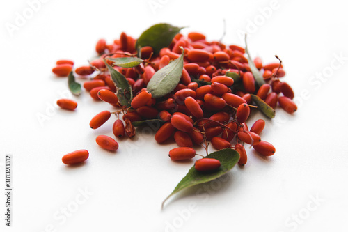 Bunch of barberries with leaves on white background. Isolated.