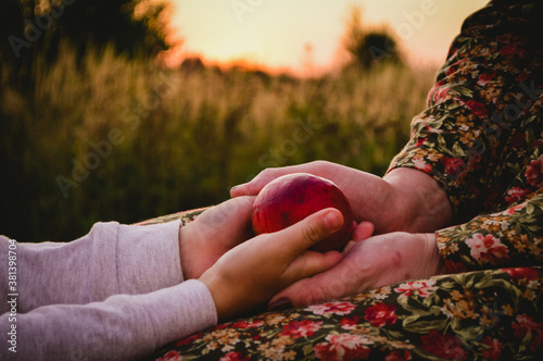 Apple in the hands of a mother with a child