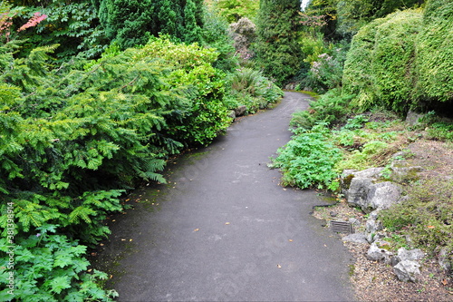 Scenic view of a winding path in a leafy green garden