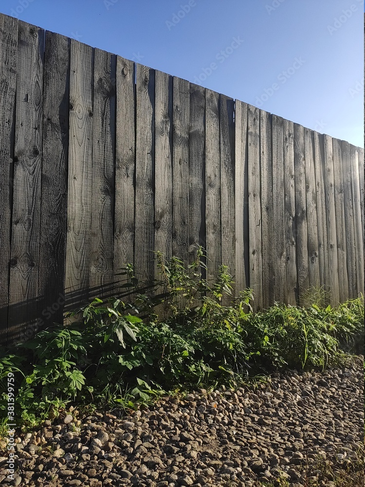 Fototapeta premium wooden fence