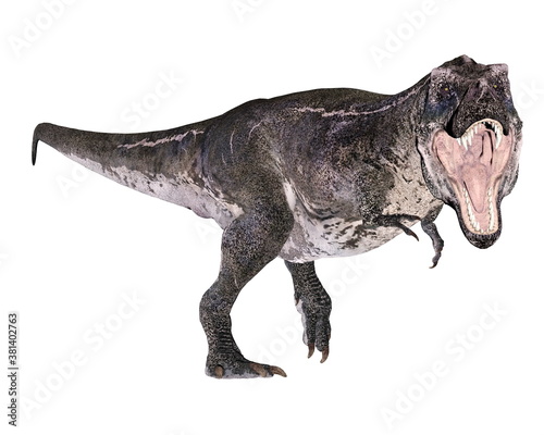 Tyrannosaurus rex dinosaur roaring isolated in white background - 3D render © Elenarts