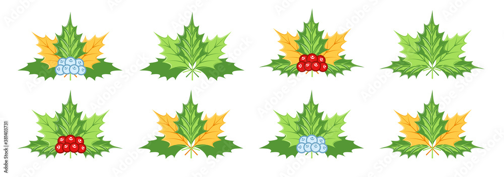 Collection of mistletoe isolated on white background