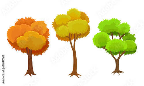 Tree with Green and Orange Crown as Perennial Plant with Trunk, Branches and Leaves Vector Illustration Set