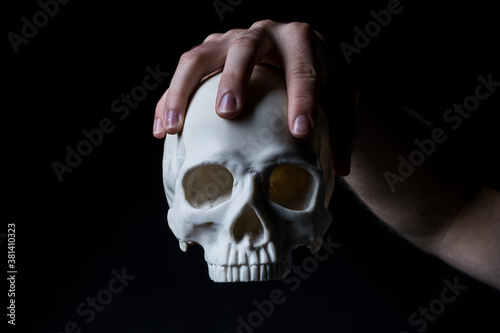 Jawless human skull photo