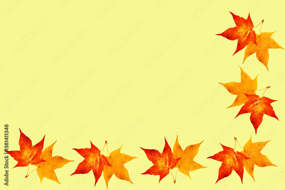 Pattern of autumn maple leaves on a yellow background. Autumn composition. Flat lay, top view, copy space