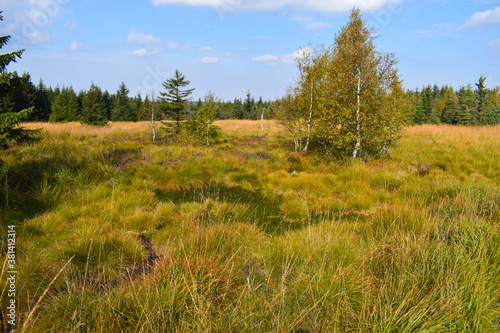 Georgenfelder Hochmoor