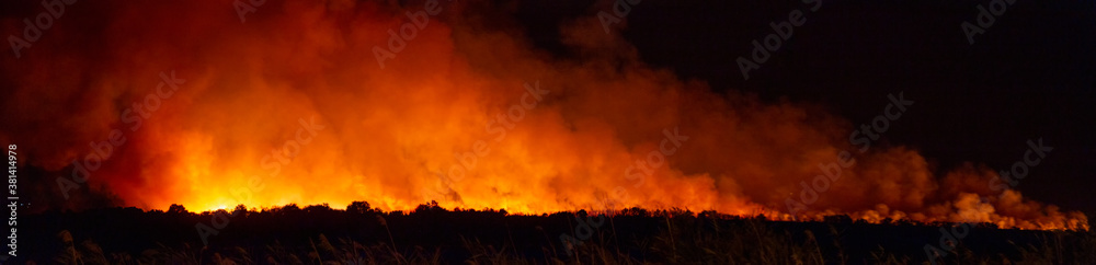 Panoramic view of a wildfire in a large natural area at night. Ecological disaster concept