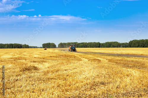 Harvesting in autumn, wheat fields, tractor driving on field road. Harvest time.