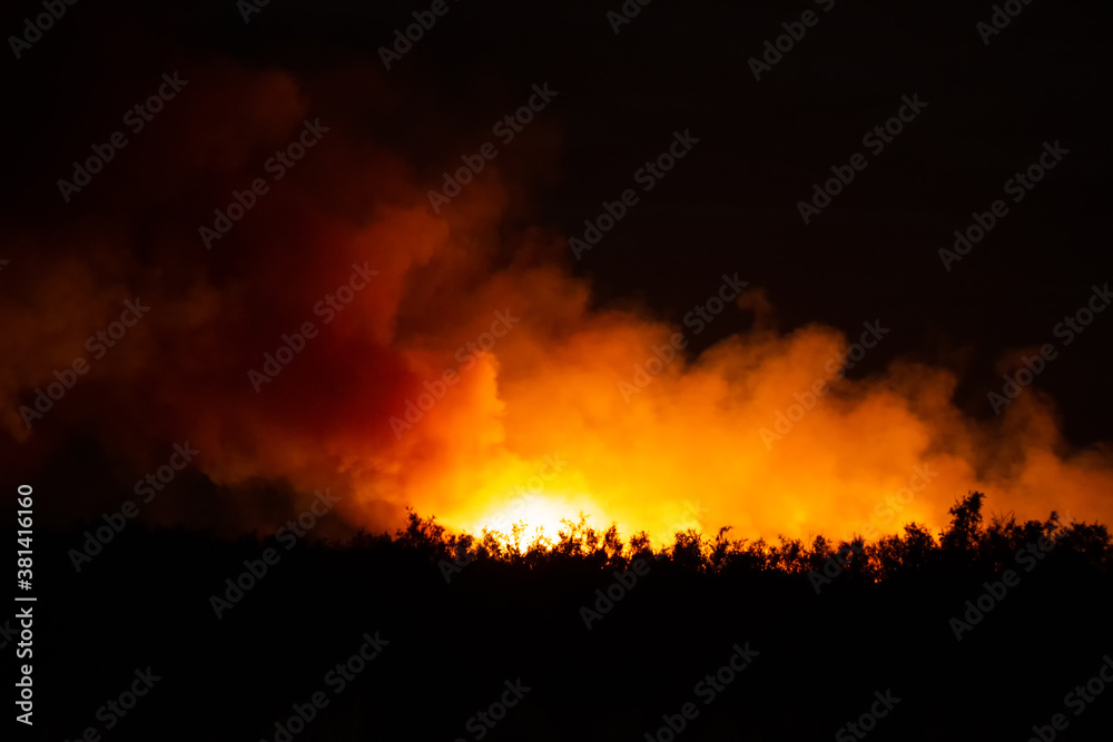 Uncontrolled forest fire at night and vegetation outlined in front of the center of the fire in the foreground. Ecological disaster concept