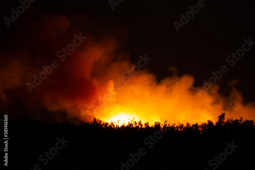 Uncontrolled forest fire at night and vegetation outlined in front of the center of the fire in the foreground. Ecological disaster concept