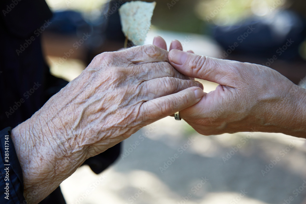 Fototapeta premium Helping hands. Care for the eldery concept. Two womans hands.