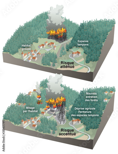 Feux de forêts - Mitage par l'habitat > risque accentué [calque texte]