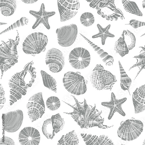 Sea shells vector seamless pattern. Realistic hand drawn marine background with nature ocean aquatic mollusk shell