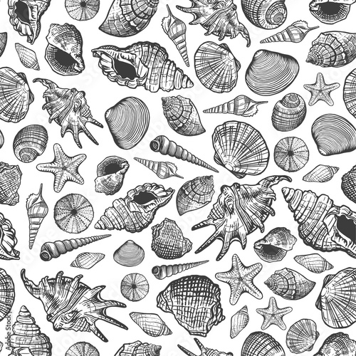 Sea shells vector seamless pattern. Realistic hand drawn marine background with nature ocean aquatic mollusk shell