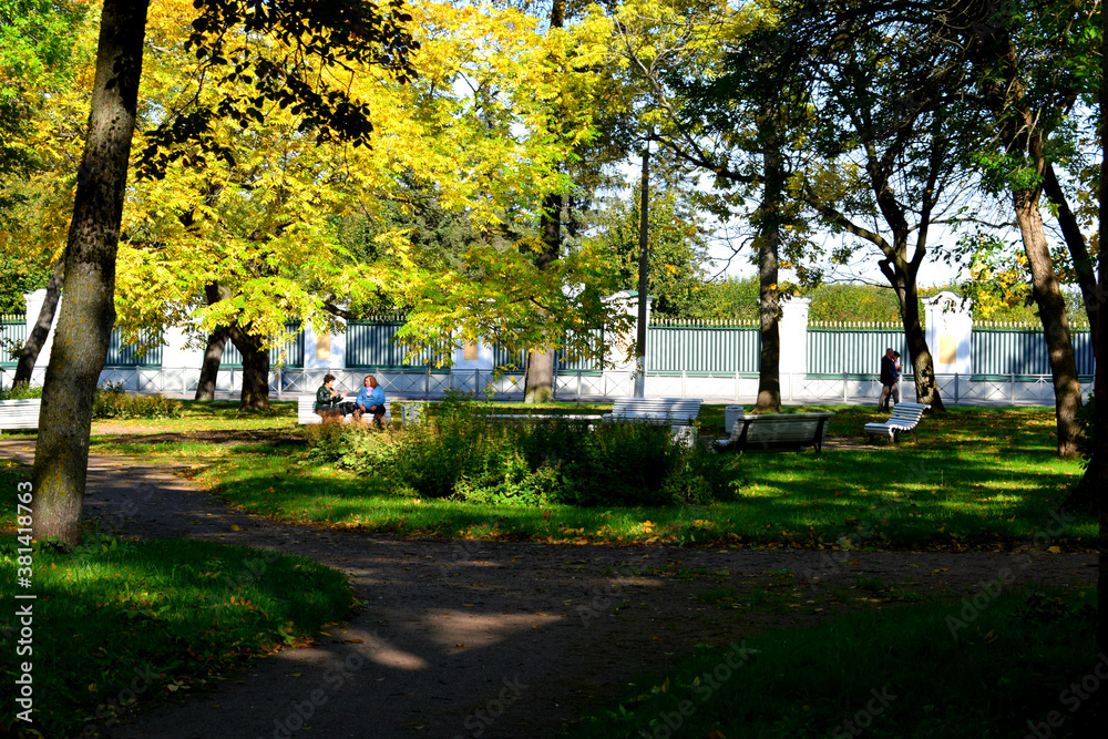 Obraz premium park in the park