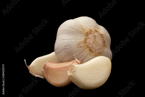 Garlic vegetable isolated
