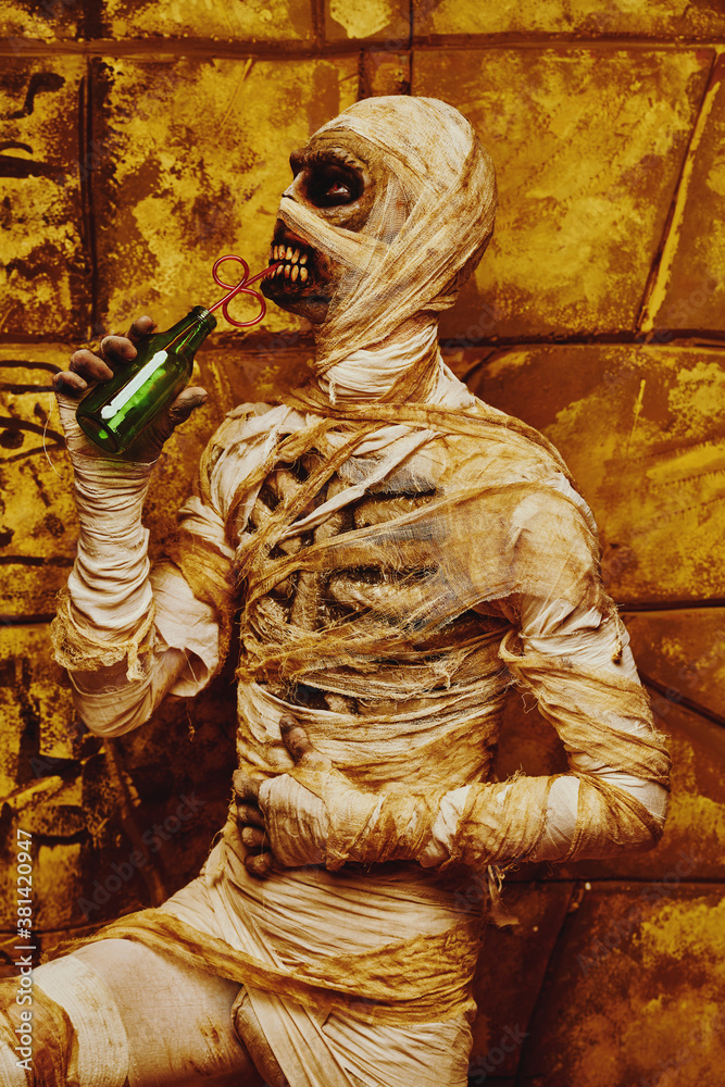 mummy on a party mummy on a party