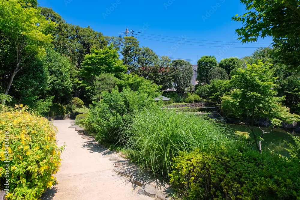 Obraz premium 目白庭園
