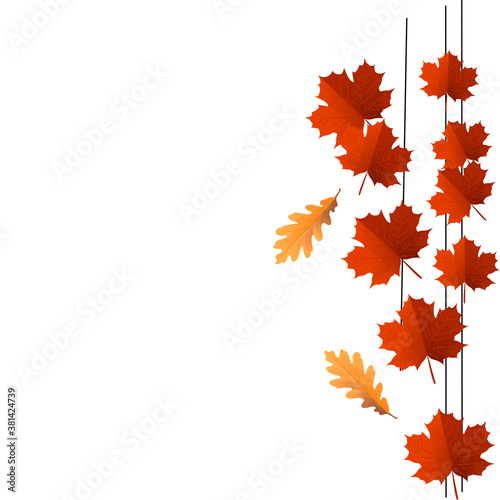 Autumn leaves. Red maple leaf and yellow oak leaf vector illustration on an isolated background. A symbol of autumn, harvest, herbaria, rains and falling leaves. Use as a silhouette as a logo ,a print
