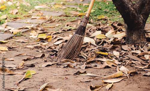 a broom for sweeping the fallen leaves under the tree.