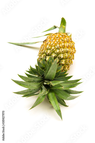 fresh pineapple with head and leaf isolated on white background