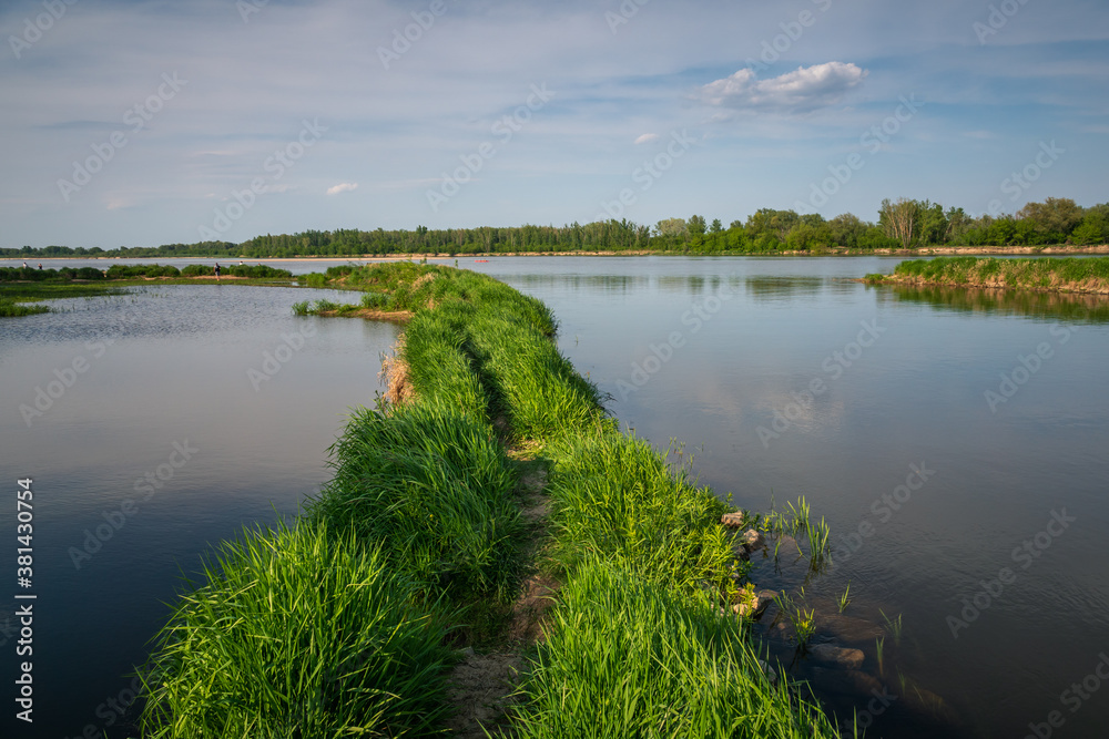 The mouth of the Pilica river to the Vistula river near Mniszew, Masovia, Poland