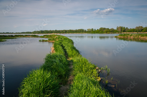 Obraz na płótnie The mouth of the Pilica river to the Vistula river near Mniszew, Masovia, Poland w salonie