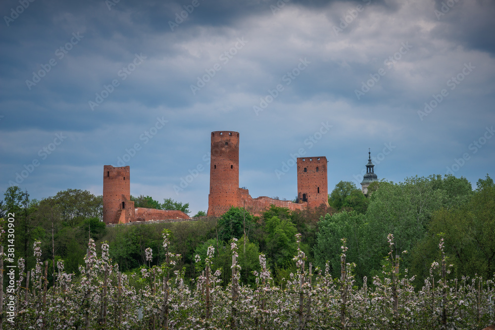 Castle and blooming apple trees in Czersk, Poland