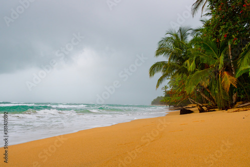 Pirate bay. tropical beach with palm trees with a wavy sea and stormy sky