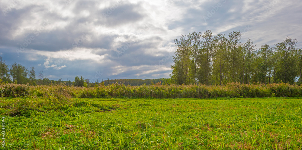 The edge of a lake in a green grassy field in sunlight under a blue cloudy sky in autumn, Almere, Flevoland, The Netherlands, September 27, 2020