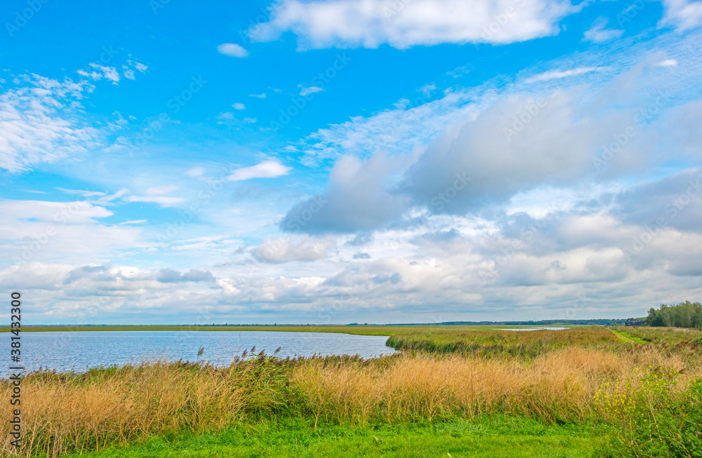 The edge of a lake in a green grassy field in sunlight under a blue cloudy sky in autumn, Almere, Flevoland, The Netherlands, September 27, 2020