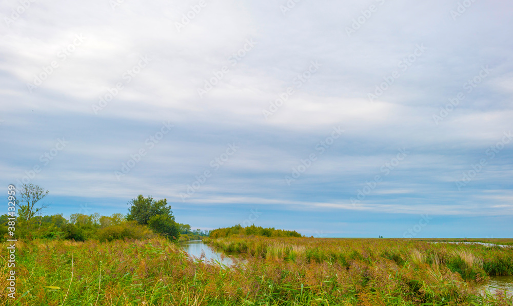 The edge of a lake in a green grassy field in sunlight under a blue cloudy sky in autumn, Almere, Flevoland, The Netherlands, September 27, 2020