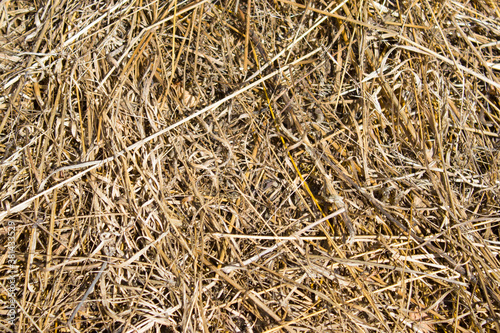 Background of hay on a sunny summer day.