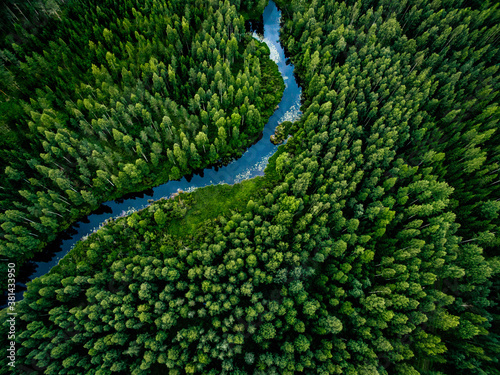 Fotografia Aerial view of green grass forest with tall pine trees and blue bendy river flow