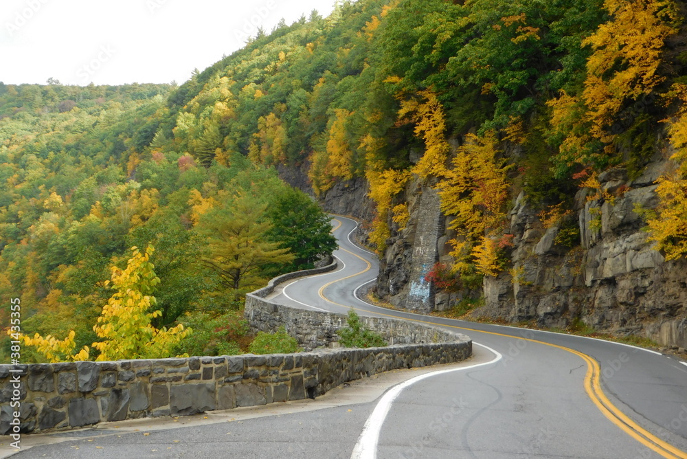 winding road in the mountains FALL