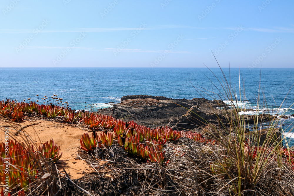 Beach with rocks and cliffs. Red flowers typical of maritime areas, Atlantic Ocean.