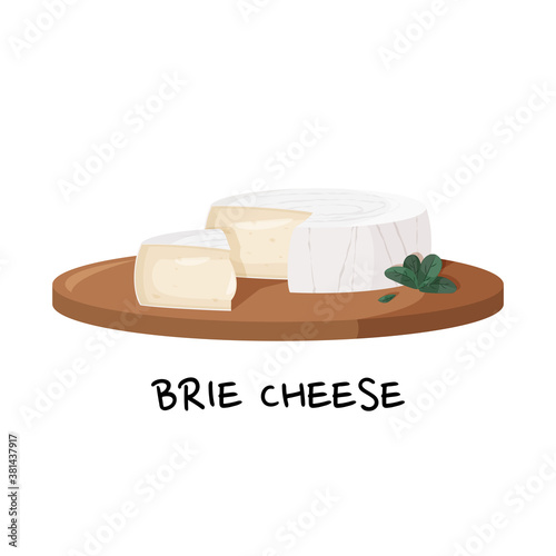 Brie cheese on a wooden tray vector illustration. Realistic food image isolated on white background.