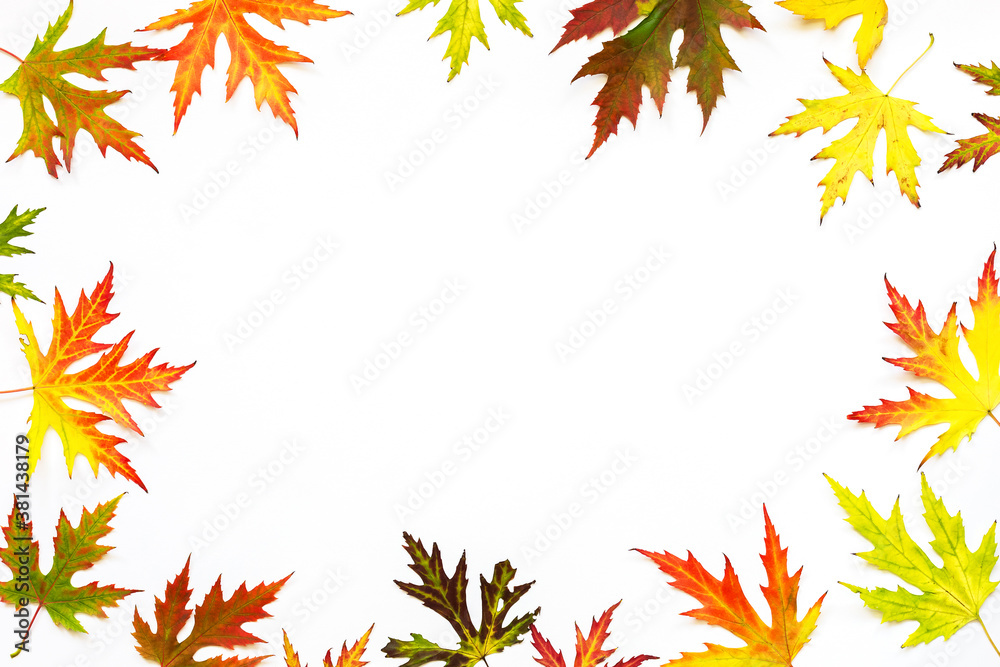 Autumn Season. Flat lay. Copy space. Autumn Season. Flat lay. Copy space.