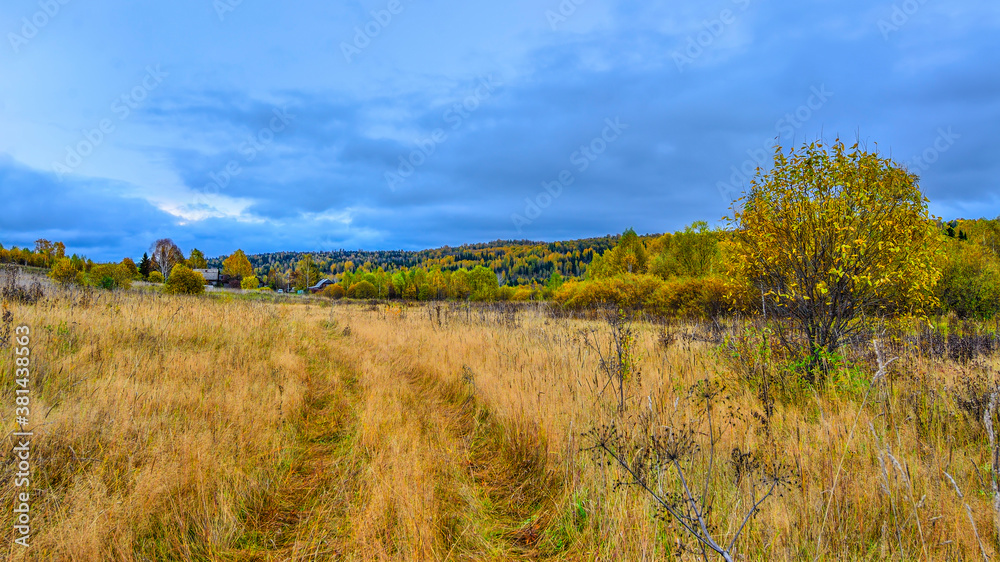 Panoramic autumnal rural landscape - outback village among colorful dense forest and meadow with golden dry grass. Woodland with green coniferous and multi colored deciduous trees. Beauty of fall