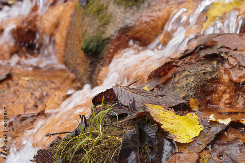 The waterfall of the David's mill.