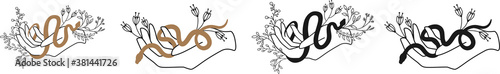 Floral magic Snake. Snake and wildflowers. Halloween and boho Floral design. Botanical elements.Black silhouette snake. Minimal black and gold illustration with snakes for logo tattoo