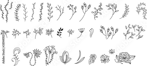 Hand drawn Botanical Set of design elements with flower and leaf. Simple Boho Flower for Logo design,Tattoo sketches. Perfect for wedding invitations, greeting cards, blogs, posters