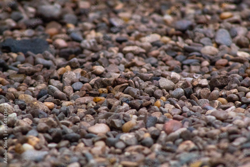 pebbles pebbles
