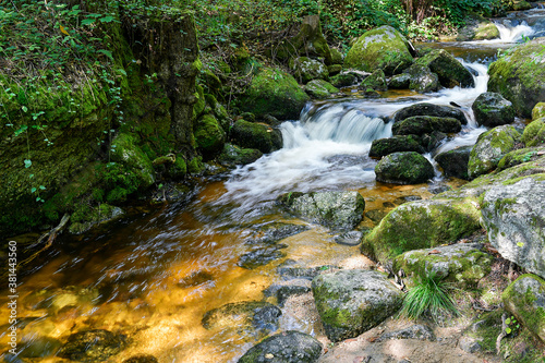 a hike through the wild Ysperclammy