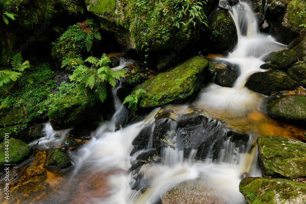 a hike through the wild Ysperclammy