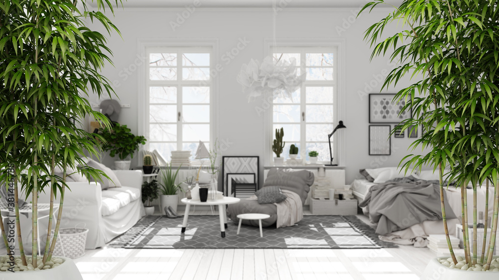 Zen interior with potted bamboo plant, natural interior design concept, country living room with double bed, parquet, sofa, and windows. Contemporary interior design Zen interior with potted bamboo plant, natural interior design concept, country living room with double bed, parquet, sofa, and windows. Contemporary interior design