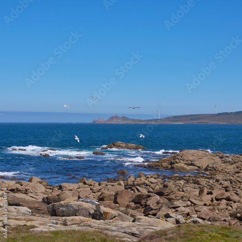 Seagulls flying at Punta de la Barca in the fishing village of Muxía, Costa da Morte, Galicia, Spain