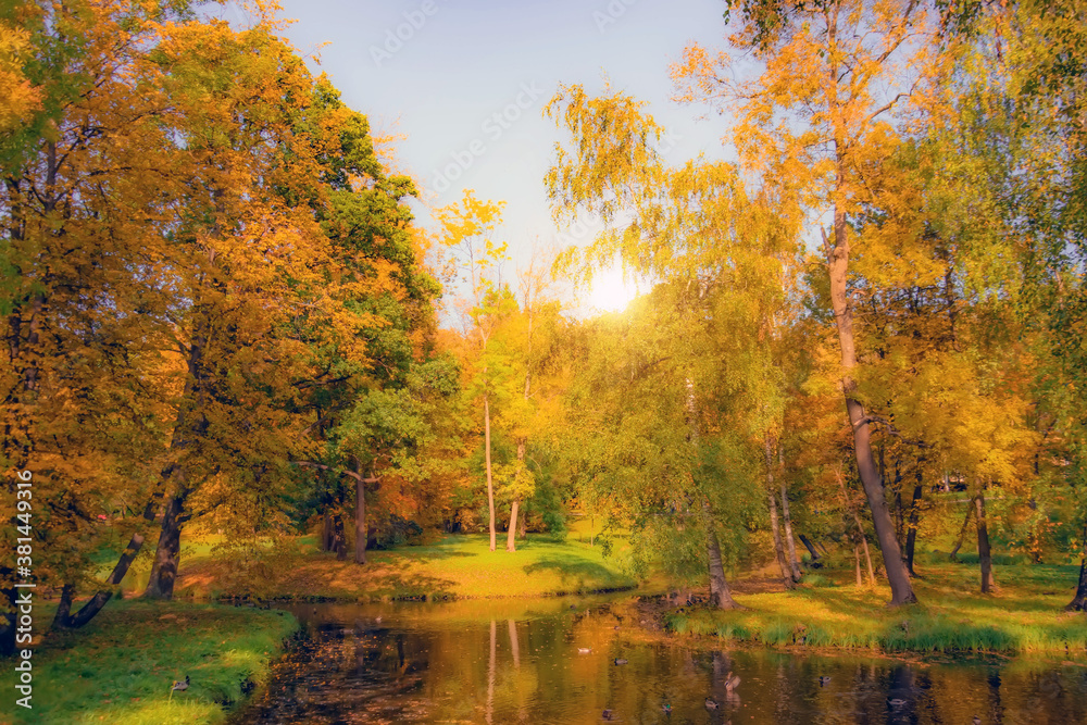 Obraz premium A pond with water birds in a dense autumn park.